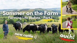 Summer on the Farm  New Cattle Broken Bones and more [upl. by Matheny]