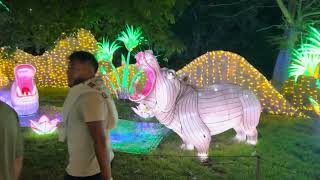 Franklin Park Zoo Boston Lights Festival 2023 Walking Tour [upl. by Oman502]