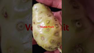 Vomit fruit amazingfacts malayalamfactsfruits [upl. by Selbbep]