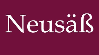 How to Pronounce Neusäß Correctly in German [upl. by Gualtiero]