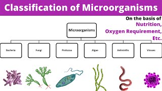 Classification of microorganisms  Microbiology  Types  Bsc  GNM  1st Year  Nursing  Hindi [upl. by Anaz374]