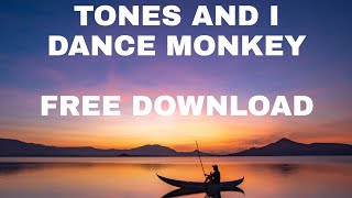 TONES AND I DANCE MONKEY  NO COPYRIGHT MUSIC  FREE DOWNLOAD [upl. by Neirad]