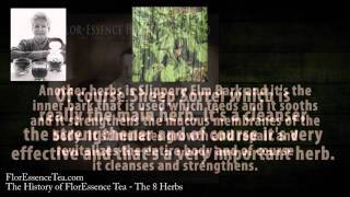 The History of FlorEssence Tea  Part 21  Herbs in FlorEssence [upl. by Anastassia]