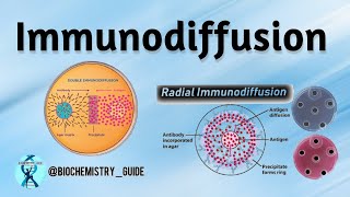 Immunodiffusion  Types Of Immunodiffusion  Single Radial And Double Immunodiffusion [upl. by Annohsal]