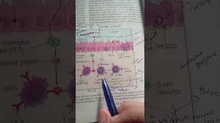 Pathogenesis of Celiac Disease  Robbin  Pathology [upl. by Ultan]