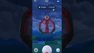 Pokemon go  Legendary Raid Catching Yveltal pokemon pokemongo shorts pokemongoshorts yveltal [upl. by Haden]