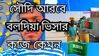 সৌদি আরবে বলদিয়া ভিসার কাজ । Saudi Arabia boldia visa Rifadsaudiarabiavlogs [upl. by Anauqahs833]