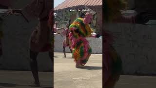 Watch this beautiful dance by the people of OGUN STATE leedanborno fypシ゚viralシfypシ゚viralシalシ [upl. by Louie]