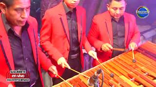 MARIMBA MADERAS CHAPINAS MIX CHECHA GALVEZ [upl. by Rheinlander]