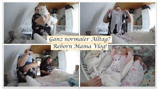 Ein ganz normaler RebornMama Alltag  Vlog  Reborn Baby Deutsch  Little Reborn Nursery [upl. by Cordey]