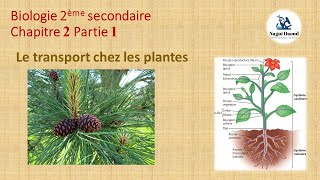 Biologie 2ème sec Chapitre 2  Partie 1Le transport chez les plantes النقل فى النبات [upl. by Karilynn]