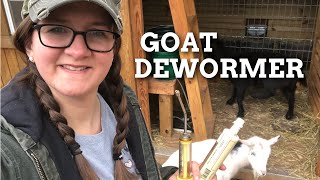 DEWORMING GOATS 🐐 [upl. by Srevart13]