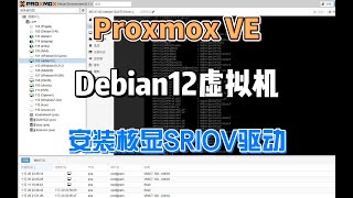 PVE系统Debian12虚拟机直通SRIOV核显安装驱动教程 [upl. by Llemmart975]