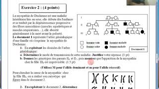 SVTexercice sur lheredité humaine examen 2016 session juin 2bac sc math [upl. by Franek579]