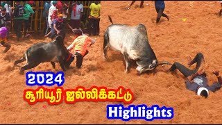 சூரியூர் ஜல்லிக்கட்டு highlights 2024  sooriur jallikattu best videos 2024 [upl. by Quinton]