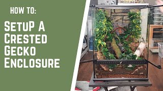 HOW TO set up a CRESTED GECKO ENCLOSURE [upl. by Hutt595]