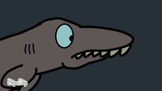 frilled shark encounter [upl. by Borlow]