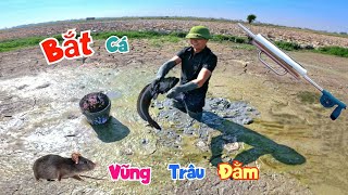 Thử Mua Máy Hun Chuột Và Đi Đào Trạch  Bất Ngờ Vớ Được Ổ Cá Xộp Trong Vũng Trâu Đằm  Quế Nghịch [upl. by Annunciata]