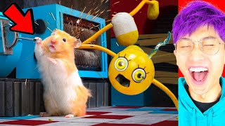 POPPY PLAYTIME vs HAMSTERS FUNNIEST VIDEOS EVER LANKYBOX REACTION [upl. by Berl]