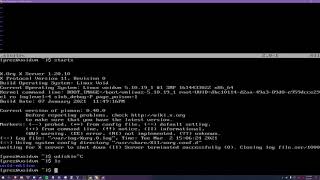 How To Setup Your xinitrc [upl. by Terrilyn]