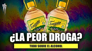 Alcohol 🍺 ¿La peor droga [upl. by Scibert423]