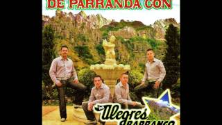 LoS ALegreS DeL BaRRaNcO ENSEnAME OLViDAR [upl. by Enywtna]