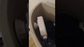 How to change the toilet handle on a Jacuzzi perfecta swp2 [upl. by Notsae]