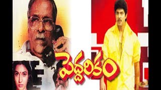 Peddarikam  పెద్దరికం Telugu Full Movie  Jagapathi Babu  Sukanya  Bhanumathi Ramakrishna  TVNXT [upl. by Ynaittirb387]