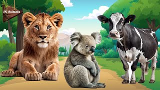 Wild Animal Sounds Youve NEVER Heard Before Lion Koala bear Cow [upl. by Ennirak]