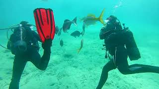 Varadero Coral Beach  Feb 2024  Day 1  Dive 2  Part 1 [upl. by Jeggar592]