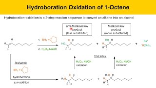 HydroborationOxidation of 1Octene Experiment Part 3 Week 2 Prelab Lecture [upl. by Prescott]