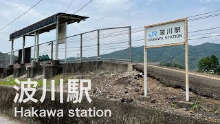 波川駅 Hakawa station ＜土讃線＞ [upl. by Lytsirhc502]