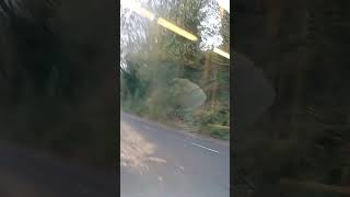 Wonderful thrash and hill struggle on a optare solo [upl. by Mozza]