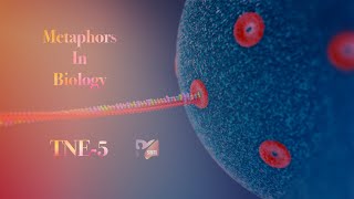 THE NEET EDUCAST TNE 5  METAPHORS IN BIOLOGY [upl. by Korff311]