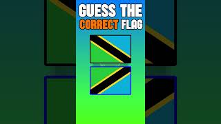 Guess The Correct Flag  Flag Quiz [upl. by Esau]