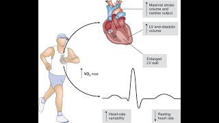 Lecture1st Exercise Physiology amp its importance in field of Physical edu [upl. by Enovi]