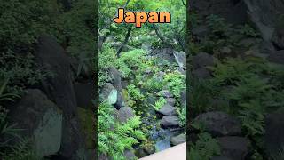 Japan garden  Japanese park japan garden shorts travel park [upl. by Llorre249]