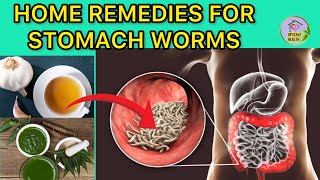 5 Simple home remedies for Stomach Worms  Kill Parasites Naturally [upl. by Nosna]