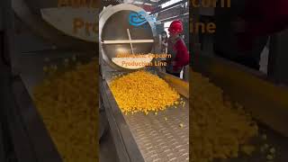 Automatic Popcorn Production Linepopcornpopcornmachineproductionline [upl. by Madanhoj]