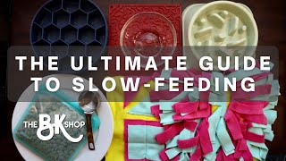 ✅ Top 5 Best Slow Feeder Dog Bowls in 2023 [upl. by Asina]