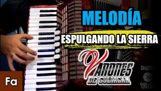 Espulgando la Sierra  TUTORIAL Acordeon de Teclas  Piano [upl. by Lupe]