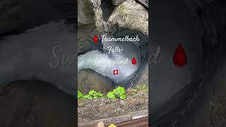 Trummelbach Falls Switzerland 🇨🇭youtubeshorts shorts beautiful travel falls rabayavlogs [upl. by Ettennat]