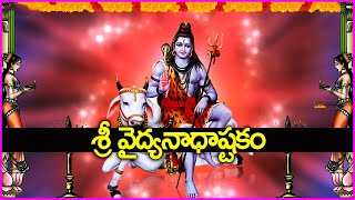 శ్రీ వైద్యనాధాష్టకం  Vaidyanatha Ashtakam in Telugu  Monday Special Lord Shiva Devotional Songs [upl. by Aileek]