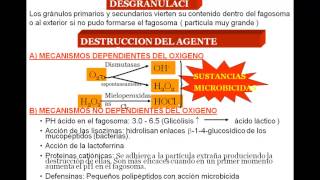 REPASO HEMATOLOGIA PREGUNTAS ENAM ESSALUD [upl. by Orimisac]