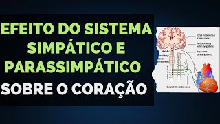 06 Efeito do Sistema Simpático e Parassimpático sobre o Coração [upl. by Violetta]