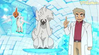 Furfrou attacks Professor Oak  Professor Oak Funny Moments [upl. by Ybbob871]