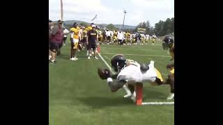 Old Steelers practice footage martavisbryant short nflpractice steelerspractice [upl. by Constantia]