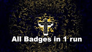 Roblox Grace All Badges in 1 run [upl. by Nita]