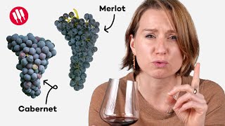 Learn by Tasting ep 25 Wine Folly [upl. by Germaun]