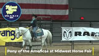 The adorable Pony of Americas at Midwest Horse Fair [upl. by Cartan]